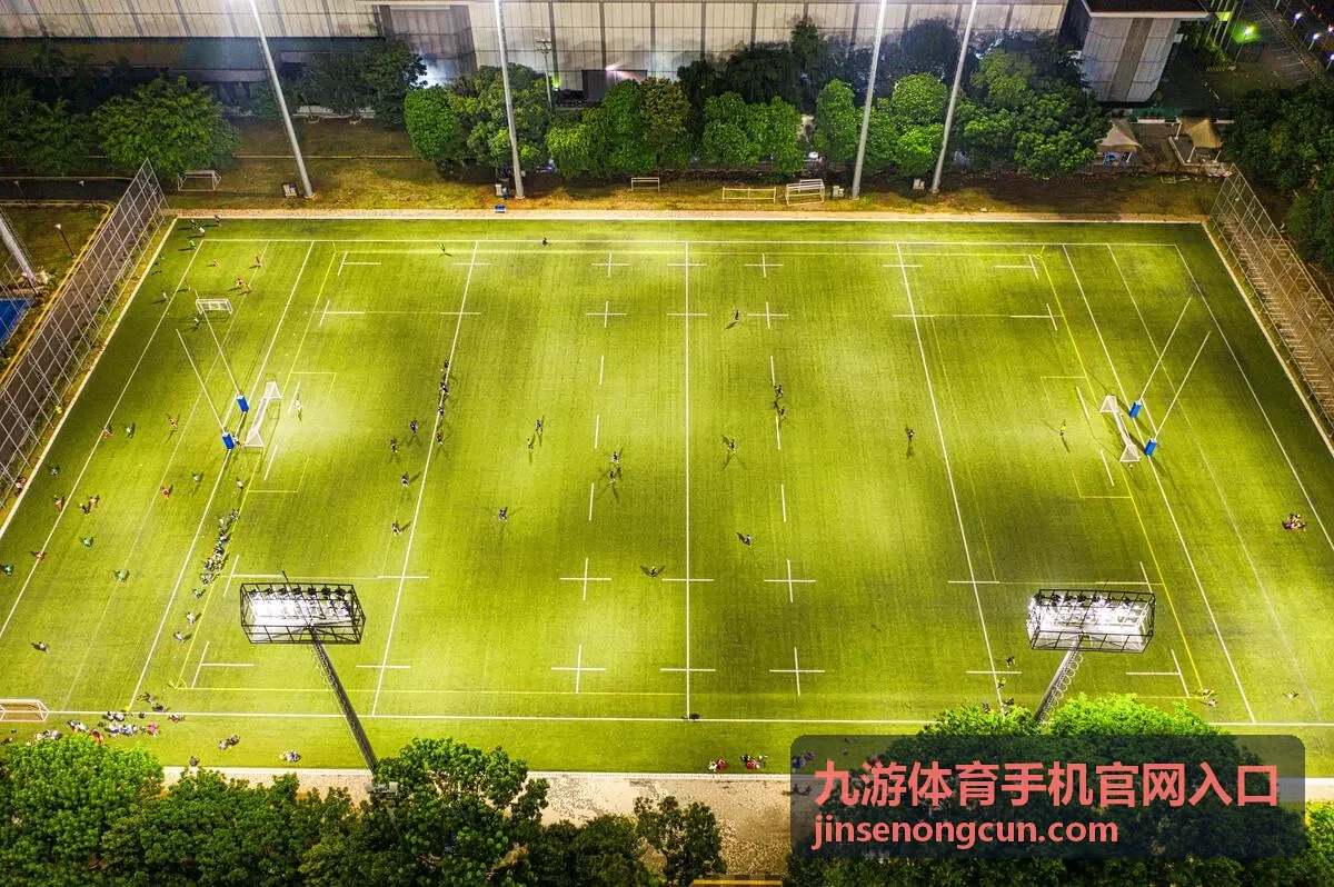 九游体育手机官网入口账号登录流程配图